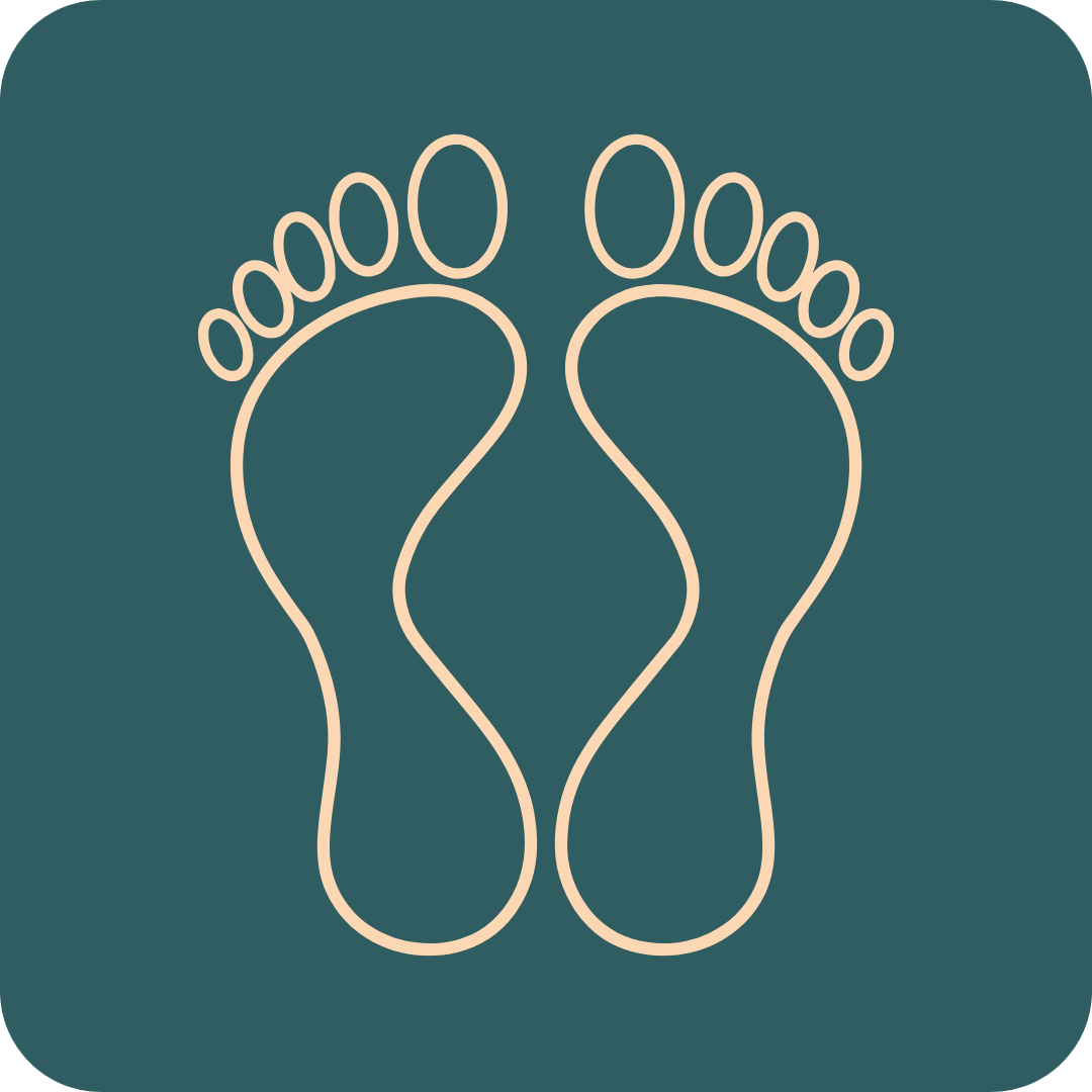 Stopy